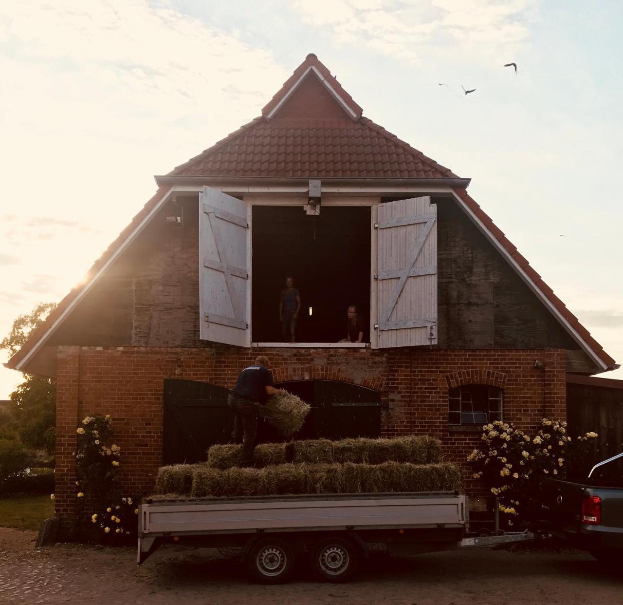 Ferienanlage Gutshaus Gramkow Exteriör bild